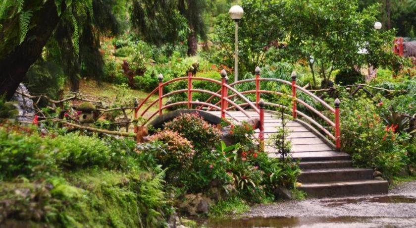 Citylight Hotel Baguio City Eksteriør bilde